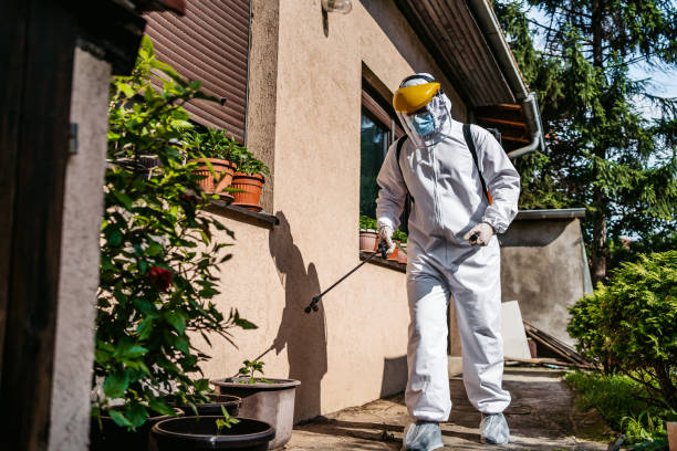 Best Local Pest Control Services  in Bargaintown, NJ