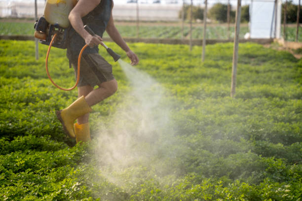 Best Pest Prevention Services  in Bargaintown, NJ