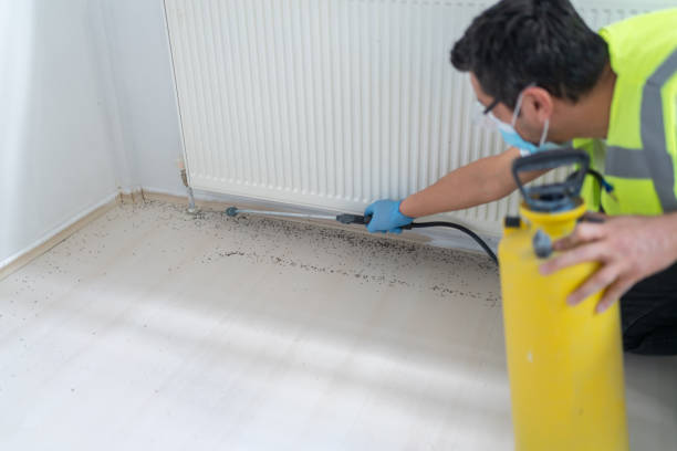 Best Emergency Pest Control  in Bargaintown, NJ