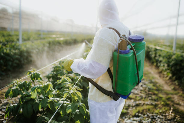 Best Pest Inspection Near Me  in Bargaintown, NJ